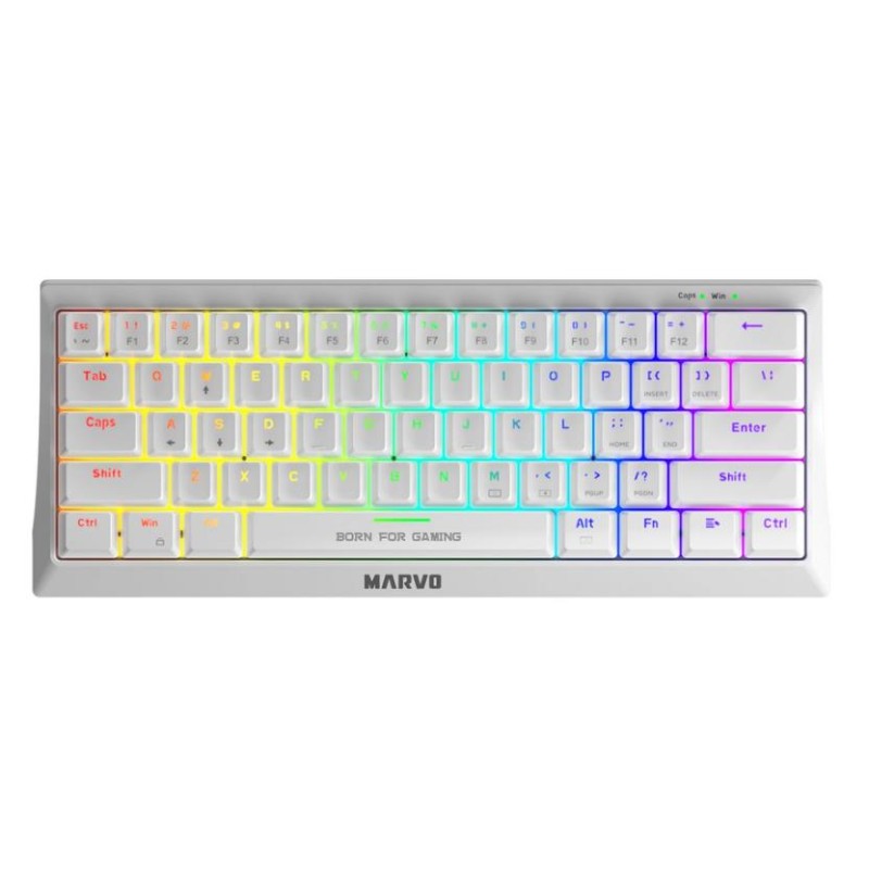 18389-800x800w